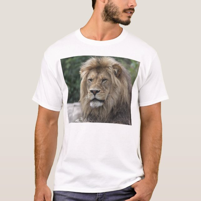 T-shirt Lion (Devant)