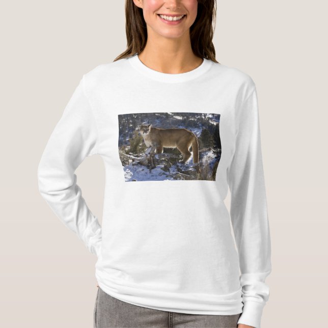T-shirt Lion de montagne (Devant)