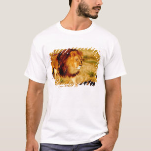 T-shirt Lion solitaire