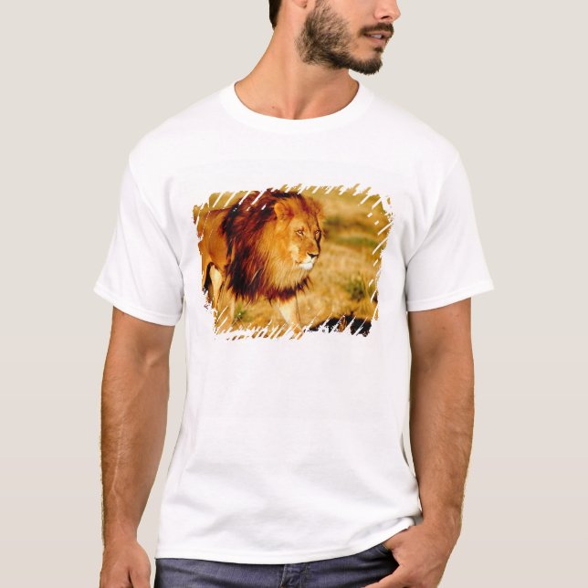 T-shirt Lion solitaire (Devant)