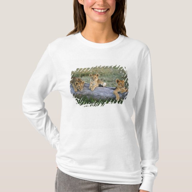 T-shirt Lionceaux sur une bûche (Devant)