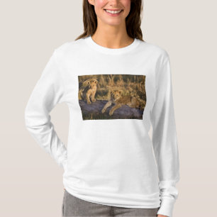 T-shirt Lionceaux sur une bûche