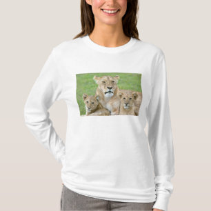 T-shirt Lionne et deux petits, Afrique de l'Est, Tanzanie,