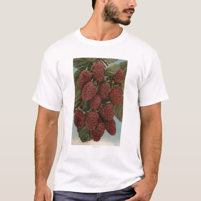 T-shirt Lithographie de Chromo de fruit de (Devant)
