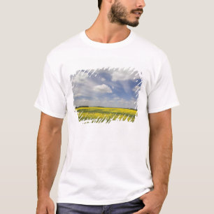 T-shirt Lituanie, Lituanie centrale, Joniskis, champ de