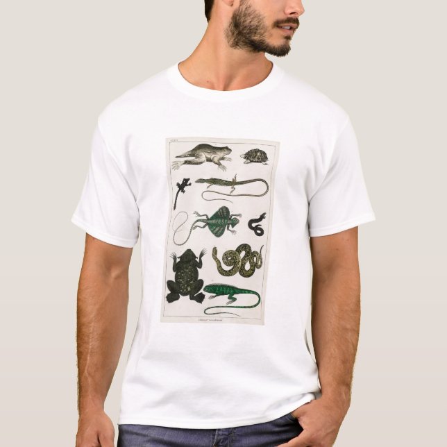 T-shirt Lizard de serpent de reptiles vintages (Devant)