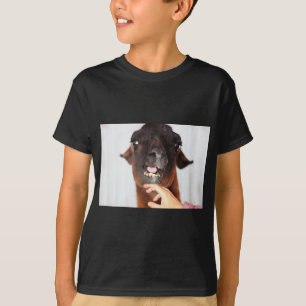 T-shirt Llama Love