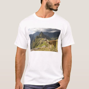 T-shirt Llamas et vue sur Machu Picchu,