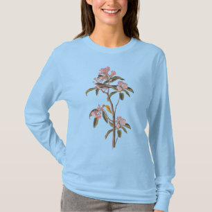 T-shirt L'oiseau Audubon de Cuvier sur le Calico-Bush rose