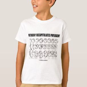 T-shirt L'ontogénèse récapitule la phylogénie (la