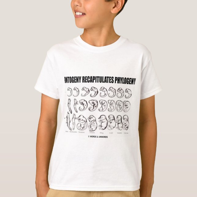 T-shirt L'ontogénèse récapitule la phylogénie (la (Devant)
