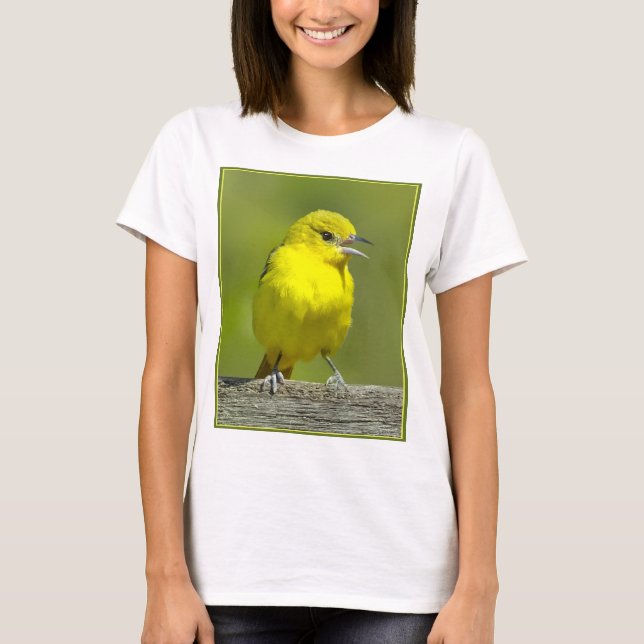 T-shirt Loriole de verger - Photographie originale (Devant)