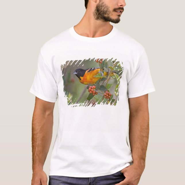 T-shirt Loriot de Baltimore (Devant)