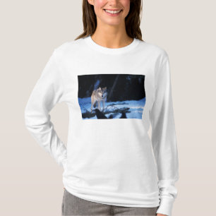 T-shirt loup gris, Canis lupus, dans les contreforts