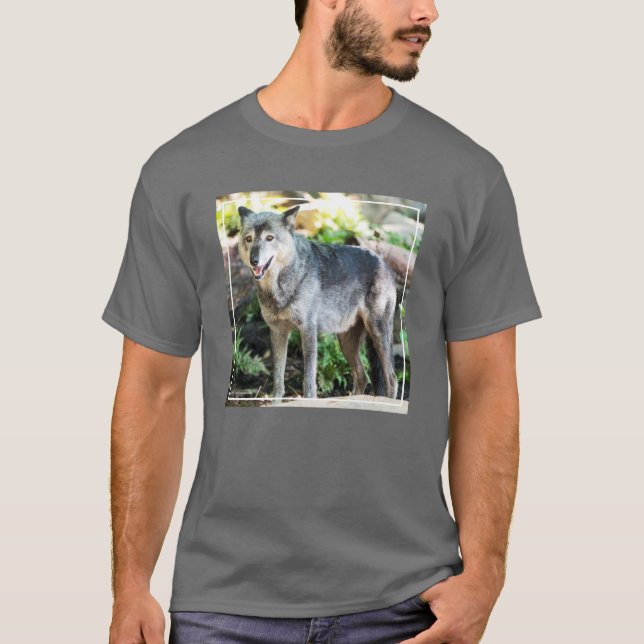 T-shirt Loup gris seul se tenant (Devant)