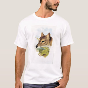 T-shirt Loup ou tigre tasmanien