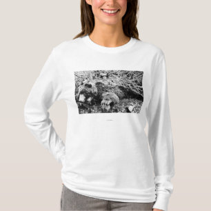 T-shirt L'ours de Barr plus de 10 pieds de long, Alaska
