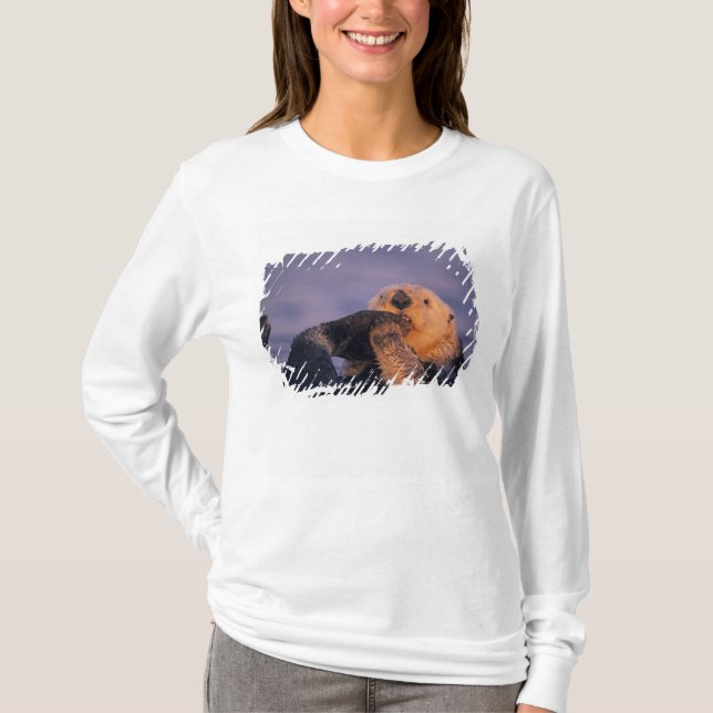 T-shirt Loutre de mer, Enhydra lutris (Devant)