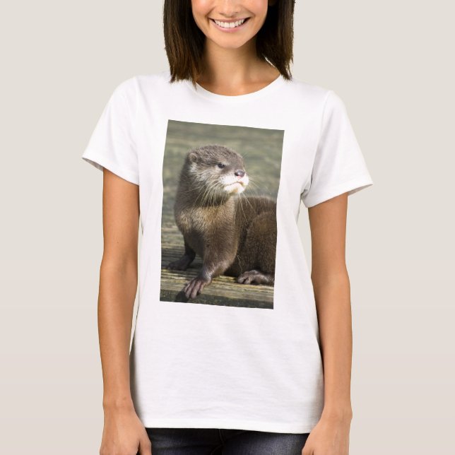 T-shirt Loutre mignonne de bébé (Devant)