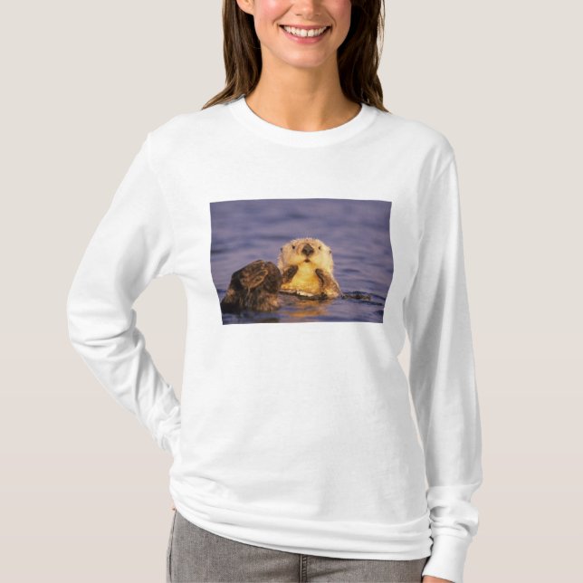 T-shirt Loutres de mer, Enhydra lutris 5 (Devant)