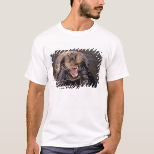 T-shirt Loutres de mer, Enhydra lutris 6
