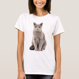 T-shirt Lovely Gray Cat with Golden Eyes