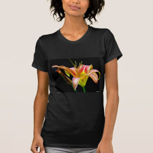 T-shirt Lovely Tawny Daylily II Vêtements et cadeaux