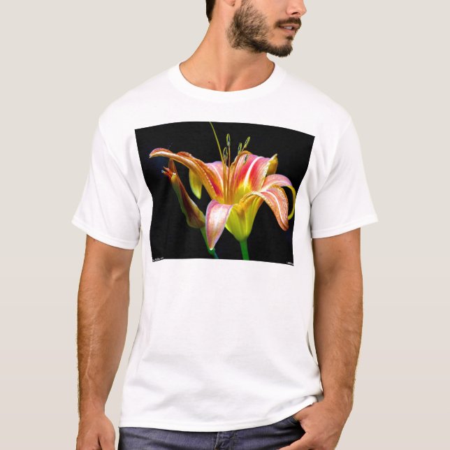 T-shirt Lovely Tawny Daylily II Vêtements et cadeaux (Devant)