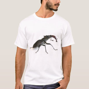T-shirt Lucane cerf-volant