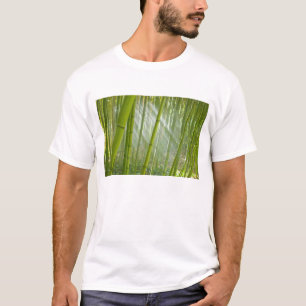T-shirt Lumière du matin filtrant à travers le bambou