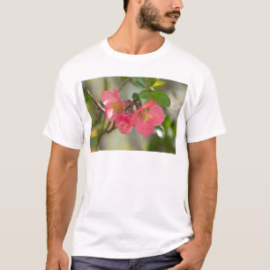 T-shirt Luminosité de coing rose