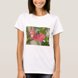 T-shirt Luminosité de coing rose