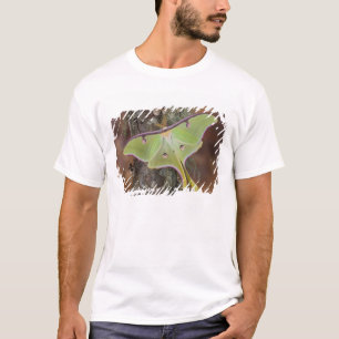 T-shirt Luna Moth en soie