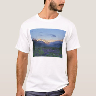 T-shirt Lupine et le fossé principal, Arthur's Pass, Sout