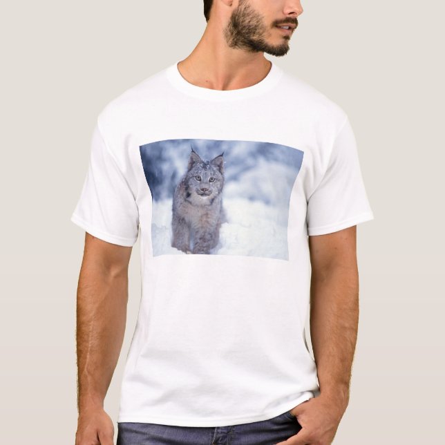 T-shirt Lynx dans la neige dans les contreforts (Devant)