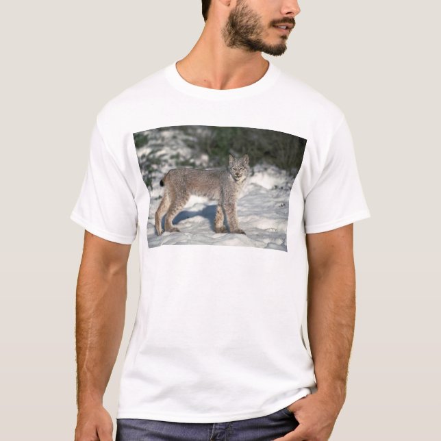 T-shirt Lynx de Canada sur la neige (Devant)