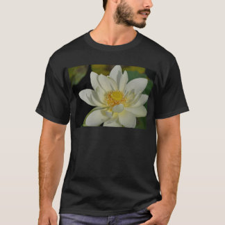 T-shirt Lys d'eau crémeuse.JPG