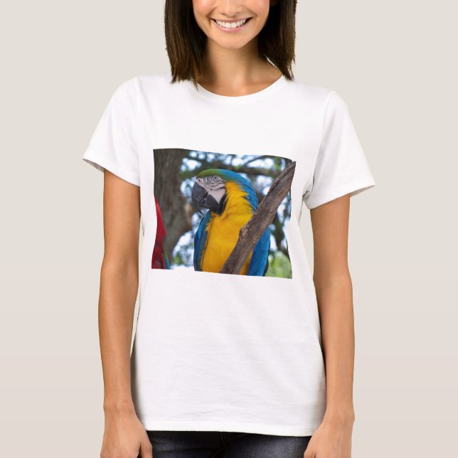 T-shirt Macao tropical jaune vert et bleu (Devant)