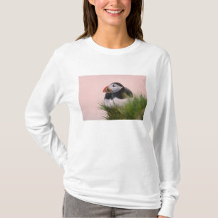 T-shirt Macareux atlantique (Fratercula arctica)
