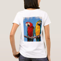 Macaw bleu et jaune et macaw Scarlet