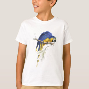 T-shirt Maccaw bleu et jaune par Edward Lear
