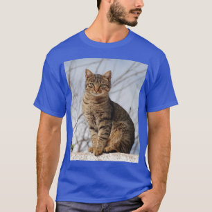 T-shirt Mackerel Tabby Cat