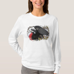T-shirt Magnifique Frigate Bird
