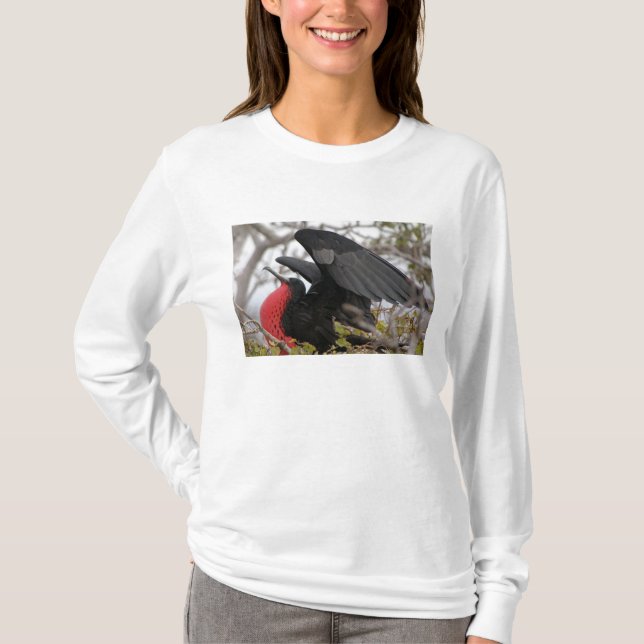 T-shirt Magnifique Frigate Bird (Devant)