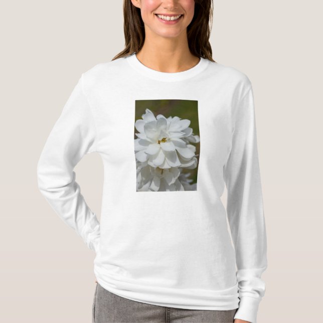 T-shirt Magnolia Long Manches Silky (Devant)