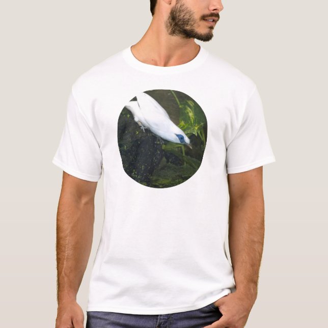 T-shirt Mainate de Bali (Devant)