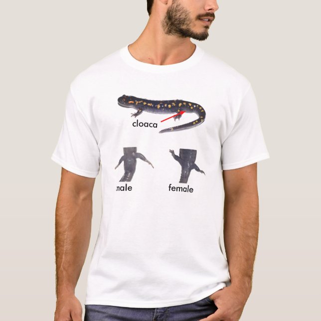 T-shirt Mâle repéré de salamandre contre la chemise (Devant)
