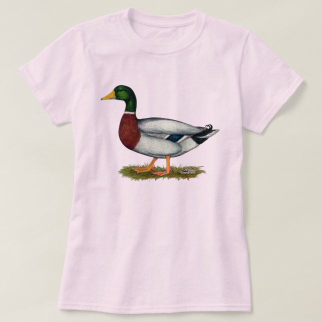 T-shirt Mallard Duck Drake (Design devant)