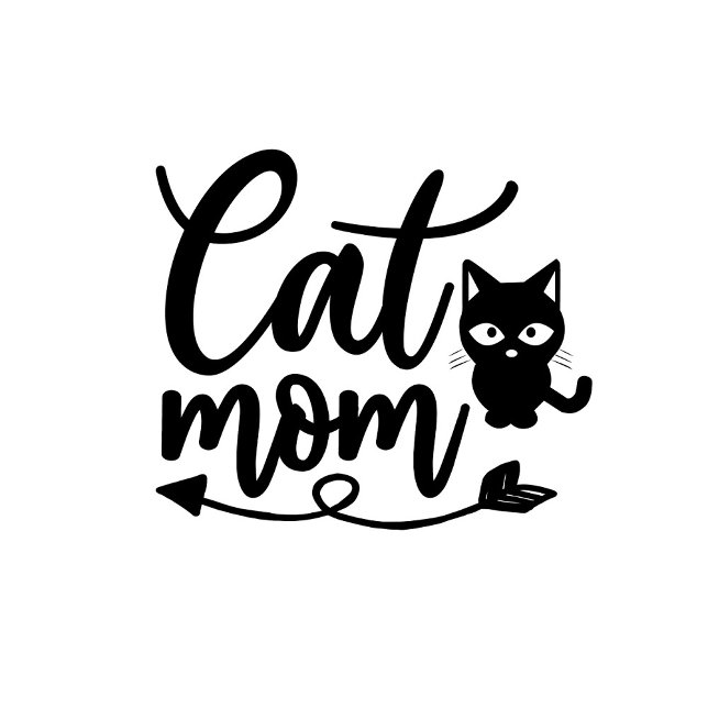 T-shirt Maman Chat  (A playful, animated scene unfolds with a close-up of a white t-shirt featuring a whimsical design.)