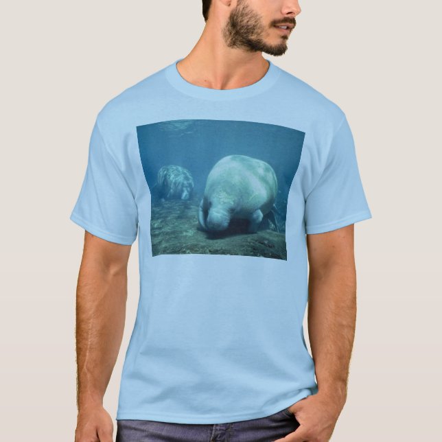 T-shirt Manatee (Devant)